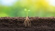 © Nawarat - Tiny seed sprouting roots under the soil, cross-sectional view, vibrant colors, representing the inception of life, growth, beginning, nature