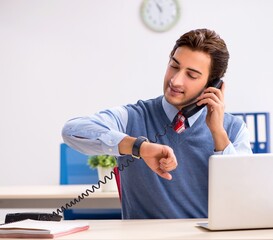 Wall Mural - Young handsome employee working in the office