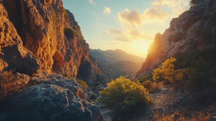 Wall Mural - Golden Hour in the Mountain Pass