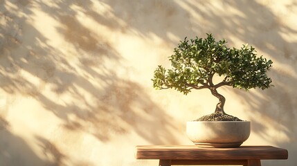 Sticker - Bonsai Tree on Wooden Table with Sunlight