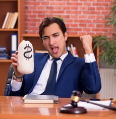 Wall Mural - Young handsome lawyer working in his office