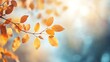 © Jane - Abstract Autumn Nature Wallpaper: Blurred Leaves, Golden Foliage, Blue Sky Banner Template