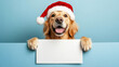 © MelissaMN - Golden Retriever wearing santa hat - christmas dog with blank sign