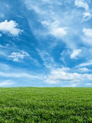 Canvas Print - Serene Green Field with Blue Sky and Fluffy Clouds - A tranquil scene with lush green grass extending towards a vast blue sky adorned with fluffy white clouds, symbolizing peace, growth, and open poss