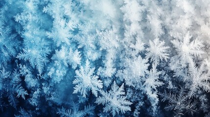 Wall Mural - Blue and white abstract snowflake pattern, winter texture background, blending the intricate beauty of snowflakes with the soft tones of winter.