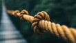 © rookielion - A close-up of a sturdy knot tied in a rope symbolizing strength and connection against a blurred natural background