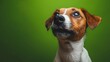 © patpongstock - A close-up of a cute dog gazing thoughtfully with a vibrant green background, showcasing its expressive features and friendly demeanor.
