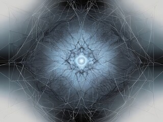 spider web on a dark background