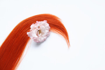 Wall Mural - Red hair strand and flower on white background, closeup