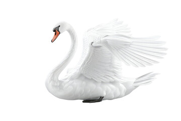 Elegant white swan isolated on white background. Studio product photography for nature and wildlife designs. Romance of beautiful white swan walking and standing at white background. Elegance. AIG57.