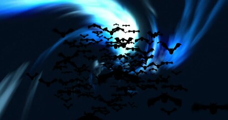 Canvas Print - Animation of bats flying and blue light trails spinning on black background