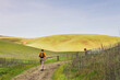 © Cavan Images - Hiker walking along a dirt path in a lush green landscape