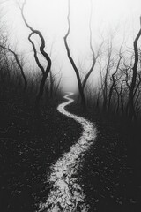 Sticker - Foggy Forest Path with Winding Road