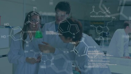 Poster - Chemical formulas and molecular structures animation over scientists in laboratory