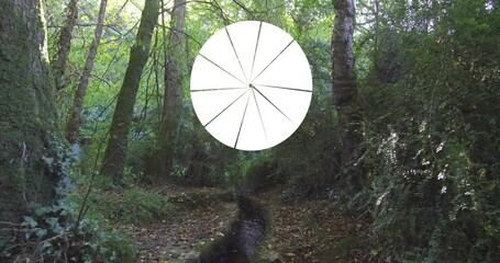 Wall Mural - White circle animation over lush green forest with sunlight filtering through trees