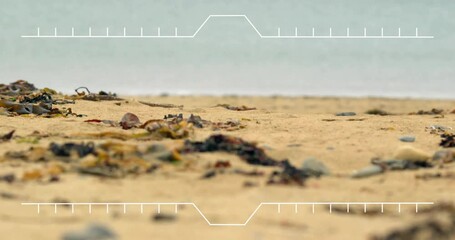 Poster - Targeting reticle animation over sandy beach with ocean waves in background