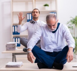 Wall Mural - Two male employees working in the office