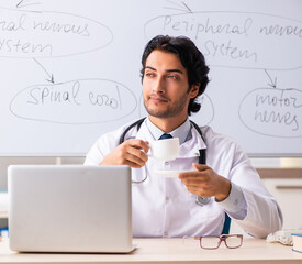 Wall Mural - Young male doctor neurologist in front of whiteboard