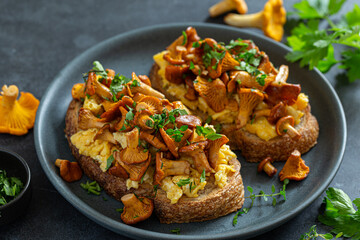 Sticker - toasts with scrambled eggs and fried chanterelle mushrooms