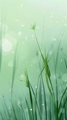 Poster - Soft green grass with dew drops