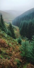 Sticker - Misty Forest Landscape with Pine Trees