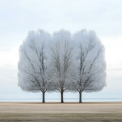 Wall Mural - Three Trees by the Water in a Misty Day