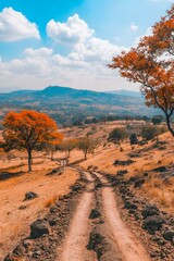 Sticker - Winding Dirt Road Through Scenic Landscape