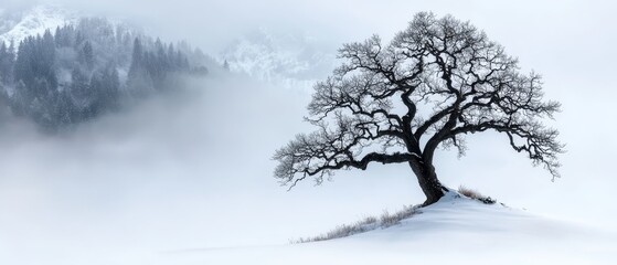 Wall Mural -  A solitary tree in a snow-covered field, a distant mountain in the background