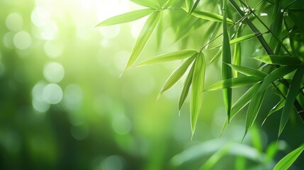 Bamboo forest and green meadow grass with natural light in blur style. Bamboos green leaves and bamboo tree with bokeh in nature forest. Nature pattern view of leaf on blurred greenery background , ai