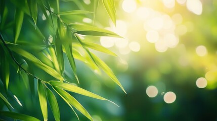 Bamboo forest and green meadow grass with natural light in blur style. Bamboos green leaves and bamboo tree with bokeh in nature forest. Nature pattern view of leaf on blurred greenery background, ai