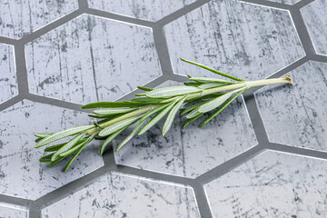 Sticker - Rosemary branch - organic spicy herb