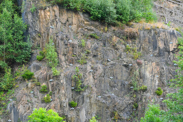 Securing a natural rock face with nets against falling rocks