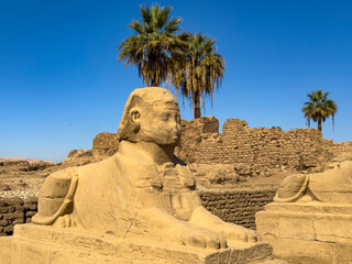 Timeless sentinels, the sphinxes of the Avenue of the Sphinxes have watched over the Nile for centuries. This ancient road, connecting Karnak and Luxor, is a testament to Egypt's rich history.