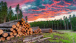 © Juri_Tichonow - Sunset over a deforested area with logs stacked, highlighting the beauty of nature against the backdrop of environmental degradation.