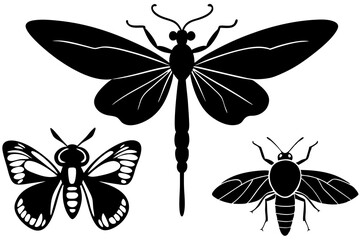 Poster - Detailed Insect Silhouettes Vector Art Illustration