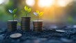 © lucegrafiar - Stacked coins with seedlings representing investment and financial growth
