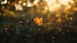 © Ti Studio - An autumn leaf gently falling, with sunlight creating a bokeh effect in the background