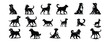 © s1pkmondal143 - Standing black dog silhouette on white background, dog vector, dog standing icon