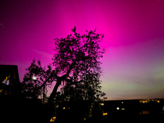Wall Mural - northern lights in the sky at night