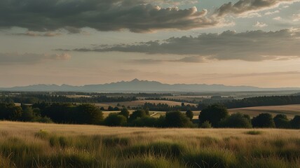Wall Mural - Summer aesthetic landscape panorama, muted neutral colors.
