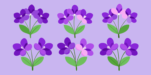 Wall Mural - Elegant Violet Bunch with Small Overlapping Flowers: Detailed Illustration