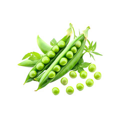 Fresh Green Peas in Pods with Leaves