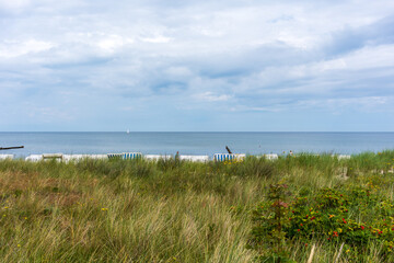 Wall Mural - Baltic Sea beach in Kühlungsborn