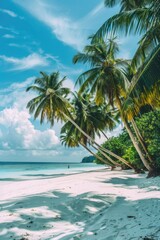 Canvas Print - Sunny day at the beach with palm trees and sand dunes