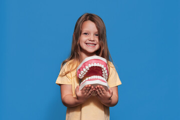 A smiling girl with healthy teeth holds a large jaw in her hands on a blue isolated background.Oral hygiene. Pediatric dentistry. Prosthetics. Rules for brushing teeth.