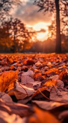 Wall Mural - Low angle view of golden autumn leaves covering the ground, with the warm light of the setting sun shining through the trees in the background