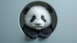 © kinara art design - A cute panda bear with black eyes and a big smile peeks through a circular hole in a light blue wall.