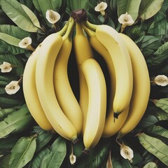 Wall Mural - bunch of bananas on a wooden background. bunch of bananas. bananas. banana. fruit photography. close up of banana fruit.