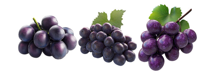 Grapes set isolated on transparent background