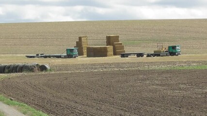 Wall Mural - Straw bale transport on a truck